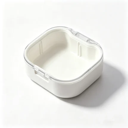 Denture Cleaning Case